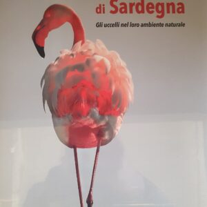 Animali di Sardegna_gli uccelli