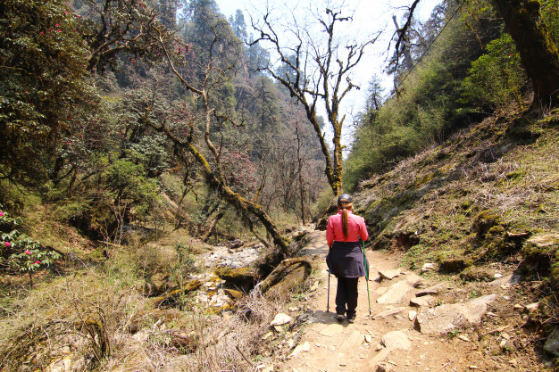 bastoncini da trekking