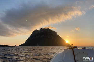 avvicinamento in gommone a tavolara