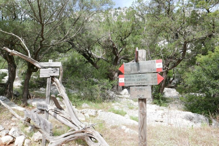 cartelli segnavia sardegna