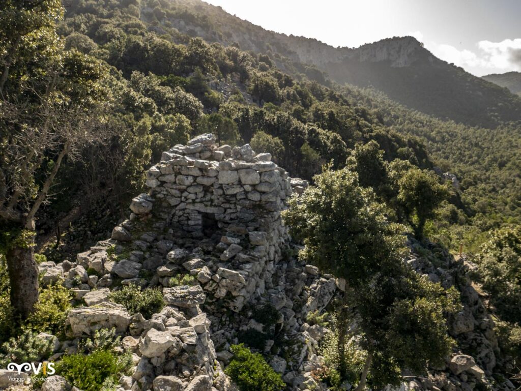 Nuraghe-Coe-Serra1