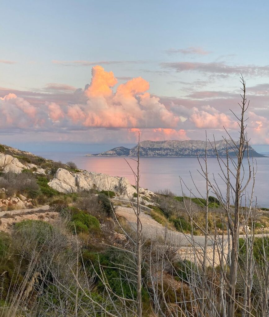 Panorama da Capo Figari