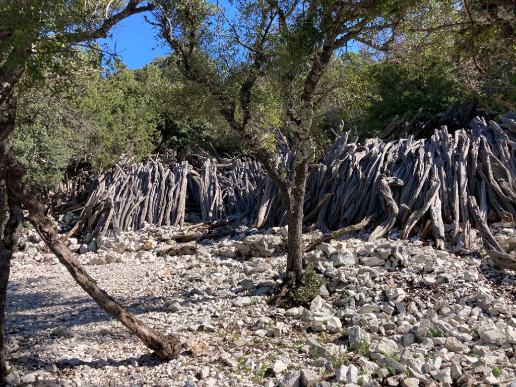 Mandra dei cuiles di Tasaru