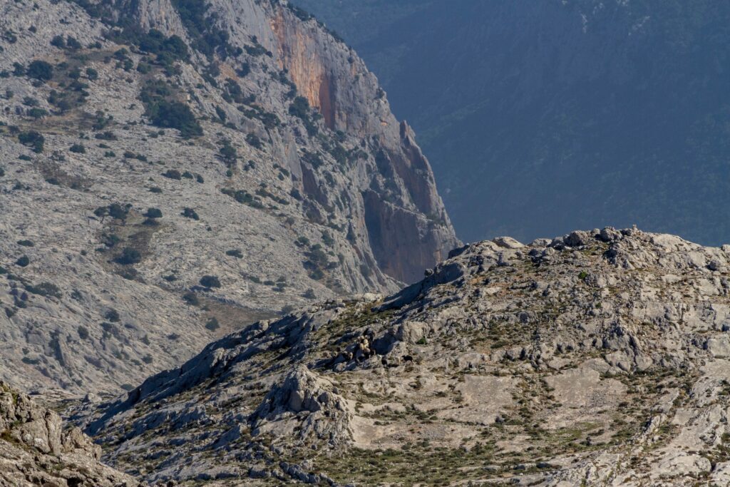 Paesaggi lunari sul corrasi