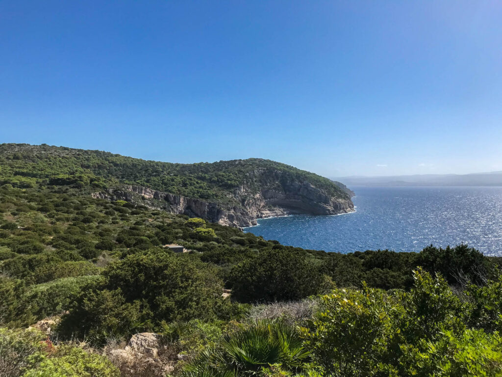 Panorami sulla scogliera di Punta Giglio