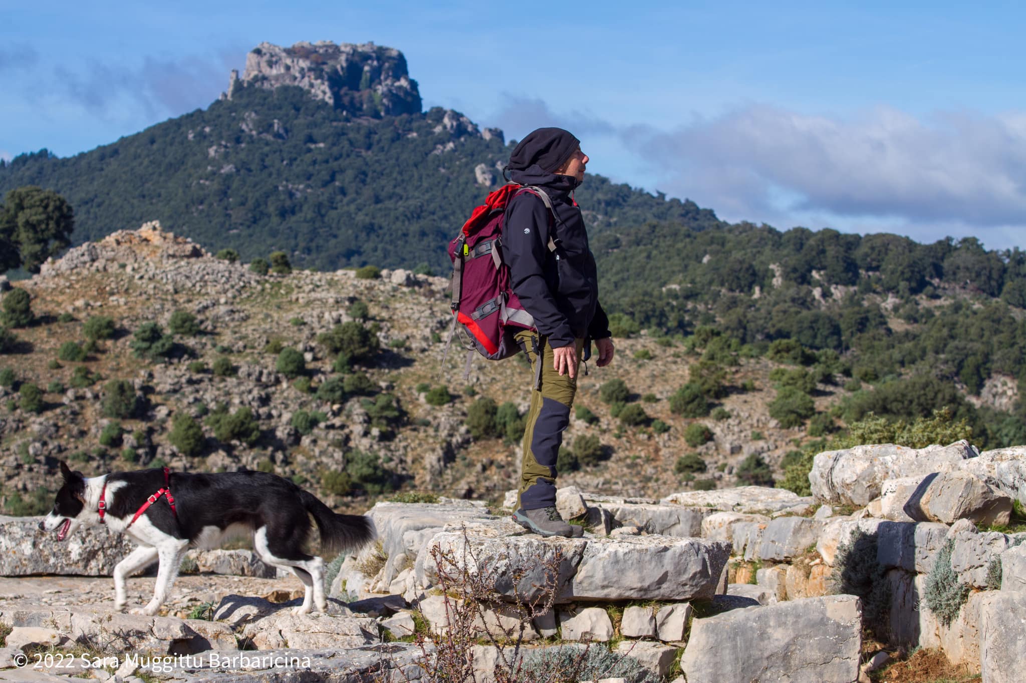 tomba di giganti s'arena fennau e vista su monte novo san giovanni