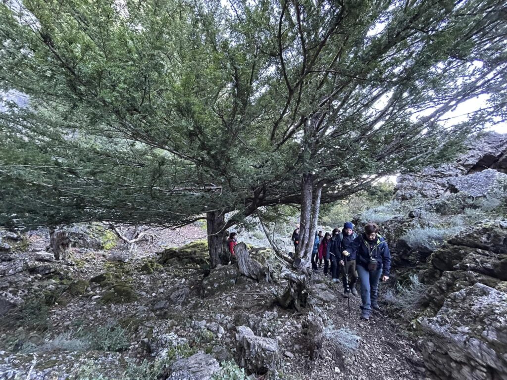 valle-dei-tassi-il-sentiero-delle-aquile