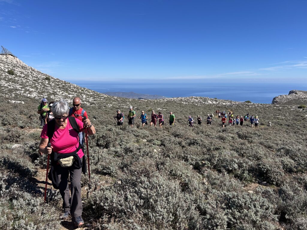 Escursione a punta Cupetti, Montalbo